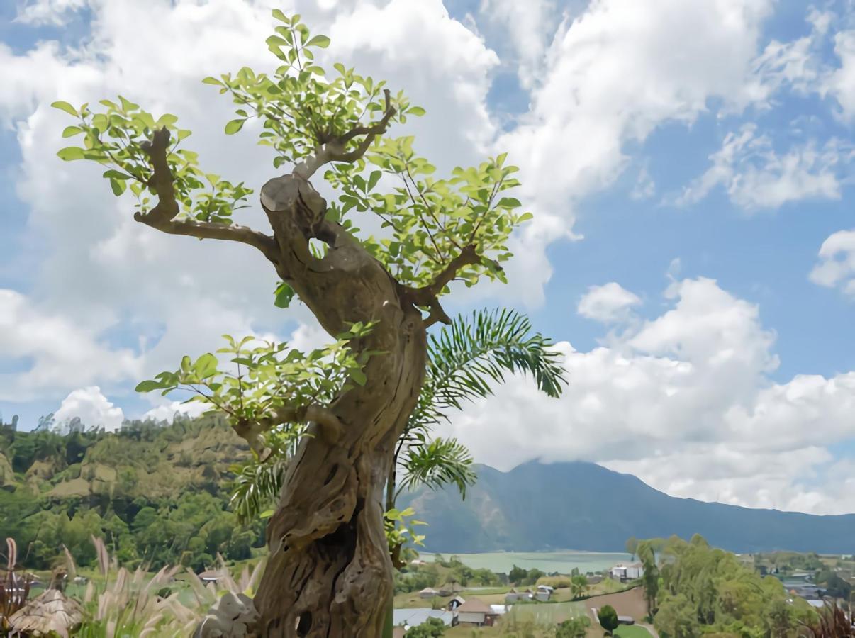 Villa Batur Cliff Panorama à Baturaja  Extérieur photo